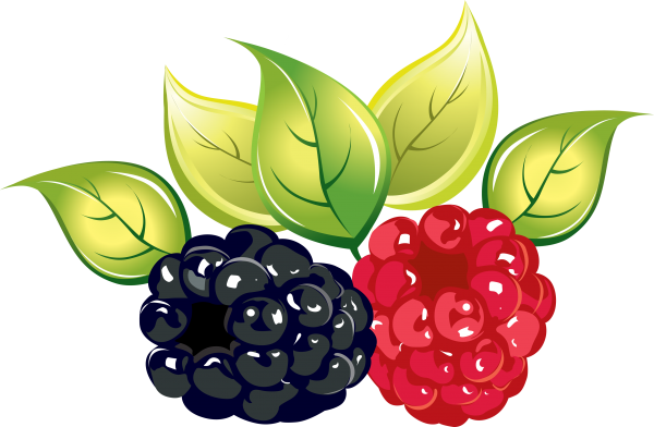 Dewberry Png Photo (black, pink, maroon, red)