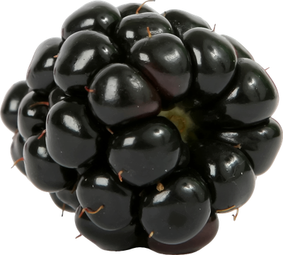 Dewberry Png Photos (black)