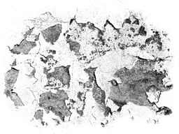 Texture Png Transparent (black, gray)