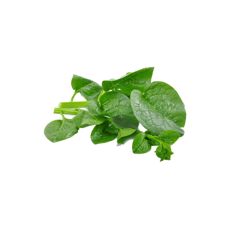 Ceylon Spinach Png Hd Isolated (gray)