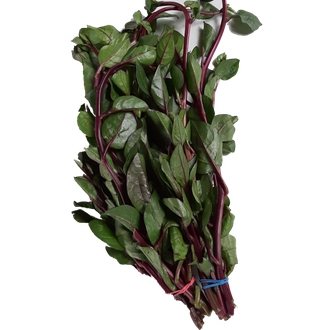 Ceylon Spinach Png Photo (black)