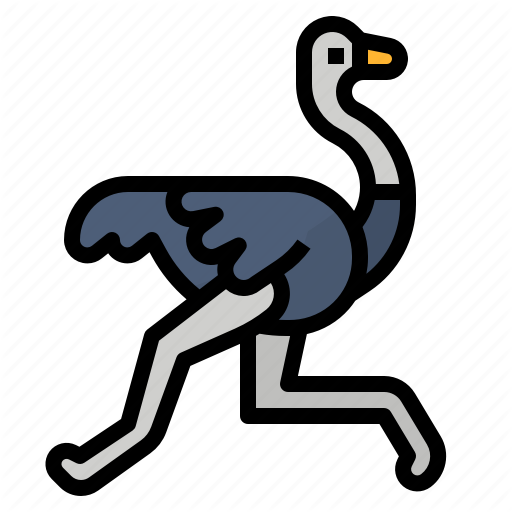 African Bird Png Picture (black, gray, indigo)