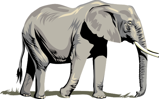 African Vector Elephant Png Picture (black, gray, silver)