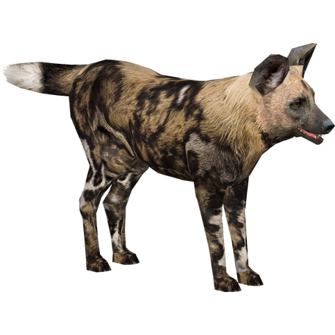 African Wild Dog Png Free Download (black)