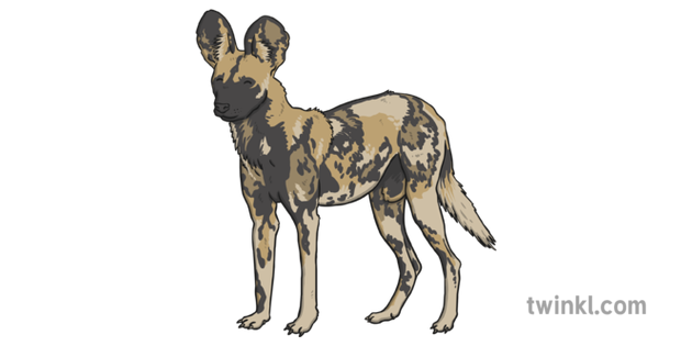 African Wild Dog Png Image (black, indigo)