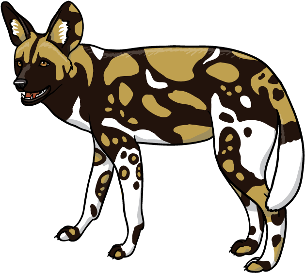 African Wild Dog Png Isolated File (white, salmon, black)