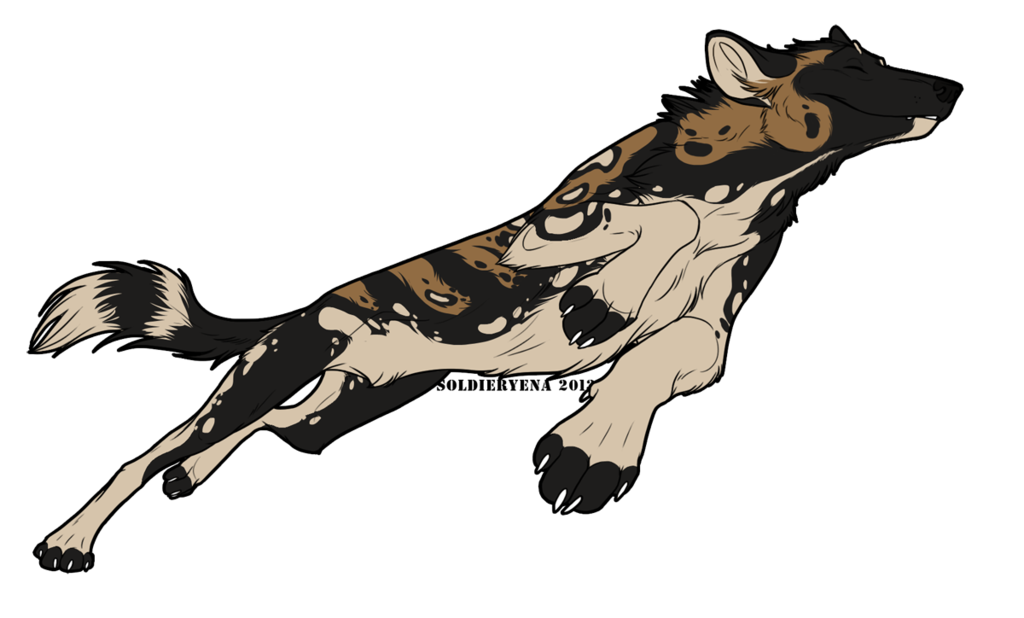 African Wild Dog Png Photos (black, silver)