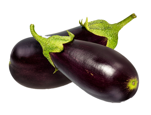 Eggplant Brinjal Png Picture (black)