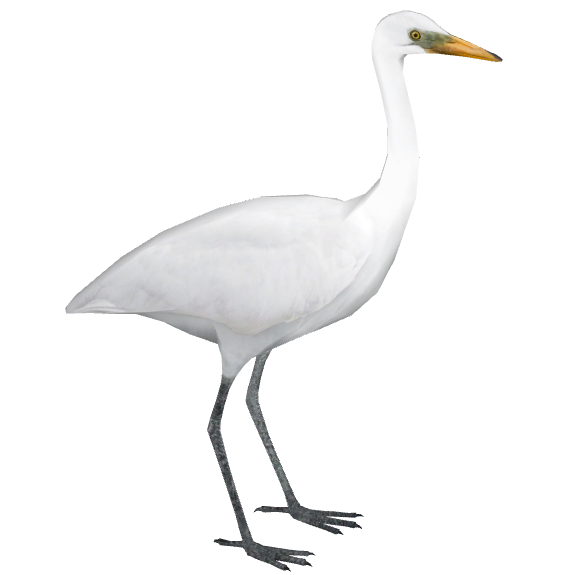 Egret Bird Png Photo (lavender, white)