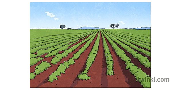 Agricultural Land Png Clipart (lavender, gray, olive)