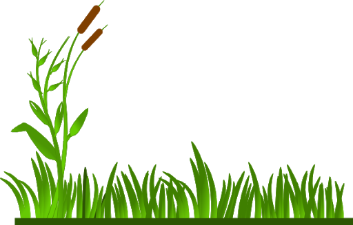 Agriculture Grass Field Png Clipart (green, black, olive)