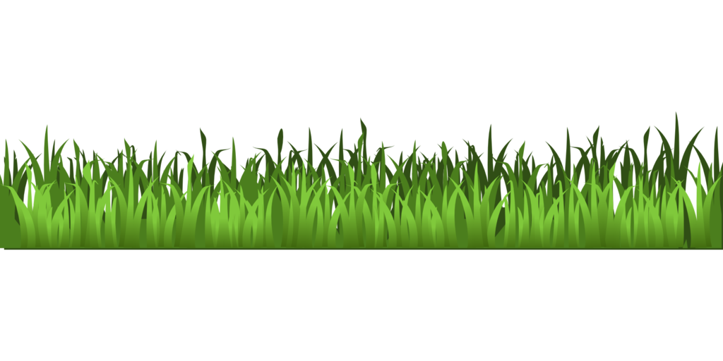 Agriculture Grass Field Png Transparent Image (green, black, olive)