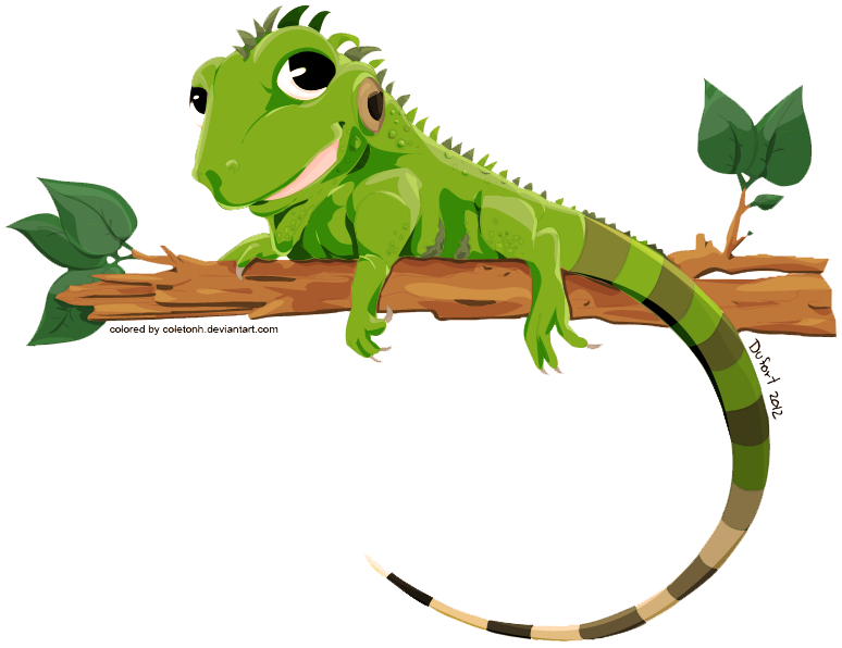 Iguana Png Transparent Image (white, olive, green)