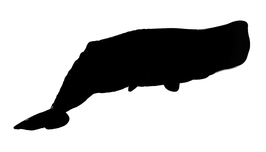 Whale Png Isolated File (black, white)