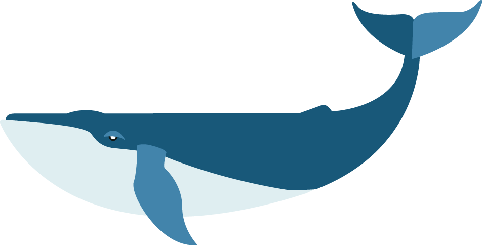 Whale Png Isolated Image (teal, black, gray, lavender)