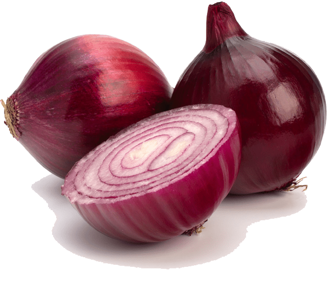 Shallot Download Png Image (gray)