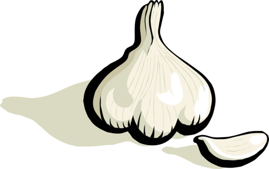 Shallot Png Isolated Hd (black, silver, beige, white)