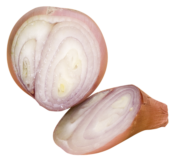 Shallot Png Isolated Pic (black, beige, silver)