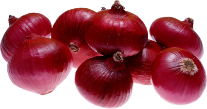 Shallot Png Photo (black, maroon)