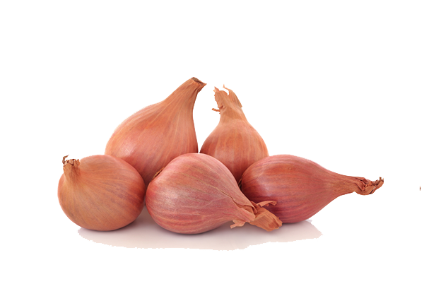 Shallot Png Photos (beige, white)