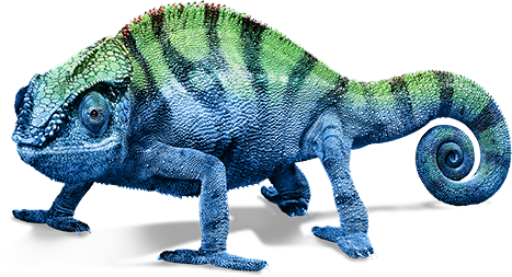 Chameleon Png Transparent Image (black)