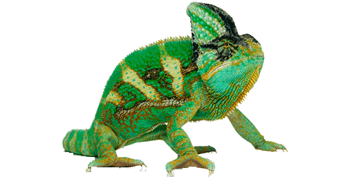 Chameleon Png Transparent Picture (white, silver, beige, lavender)