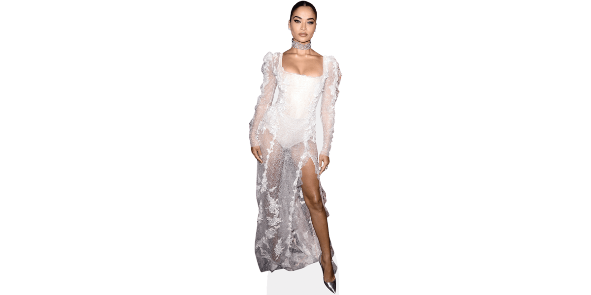 Shanina Shaik Png (lavender, gray)