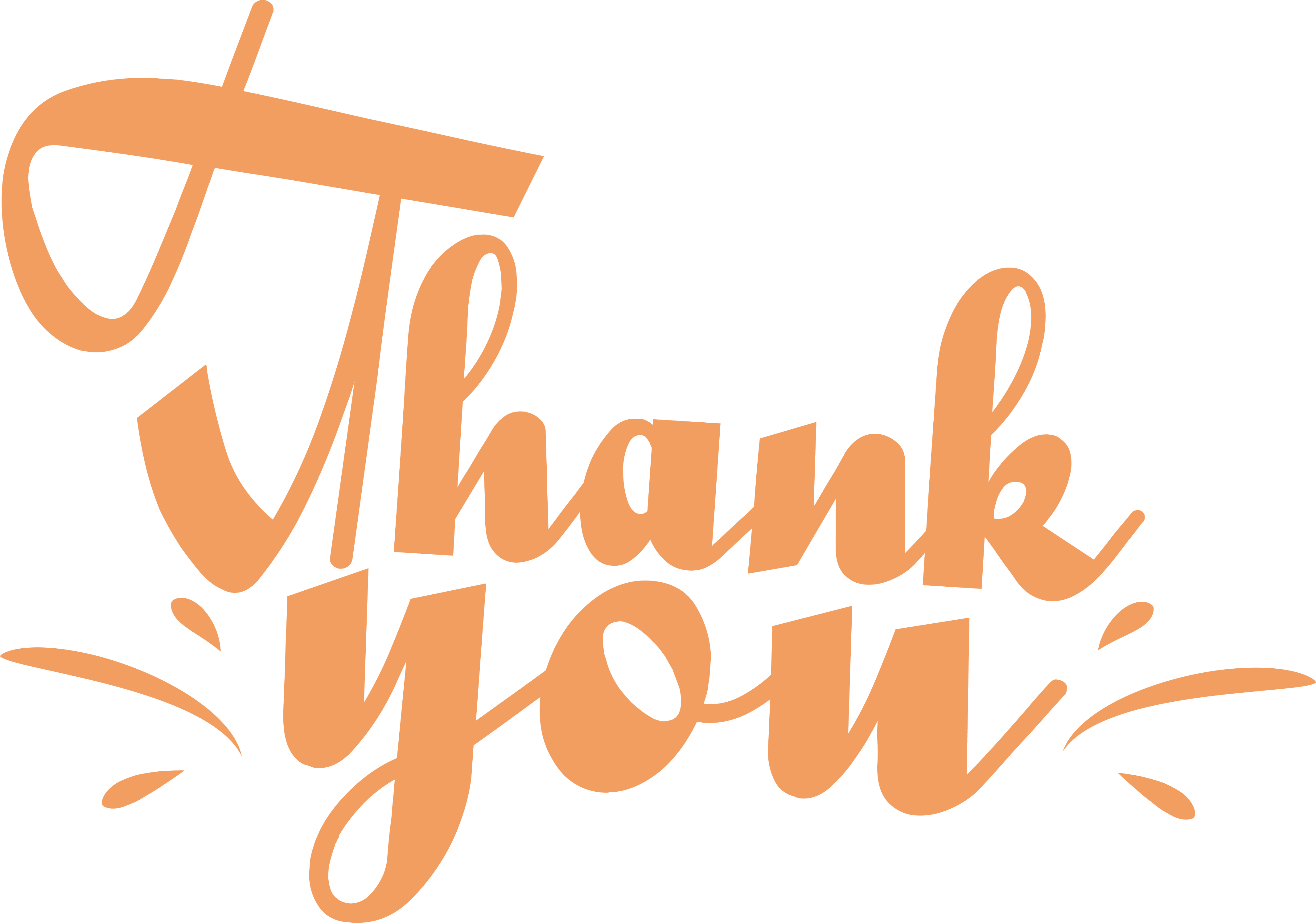 Thank You Image Png Photos (salmon, white)