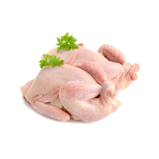 Thanksgiving Turkey Meat Png Photos (black, silver, pink)