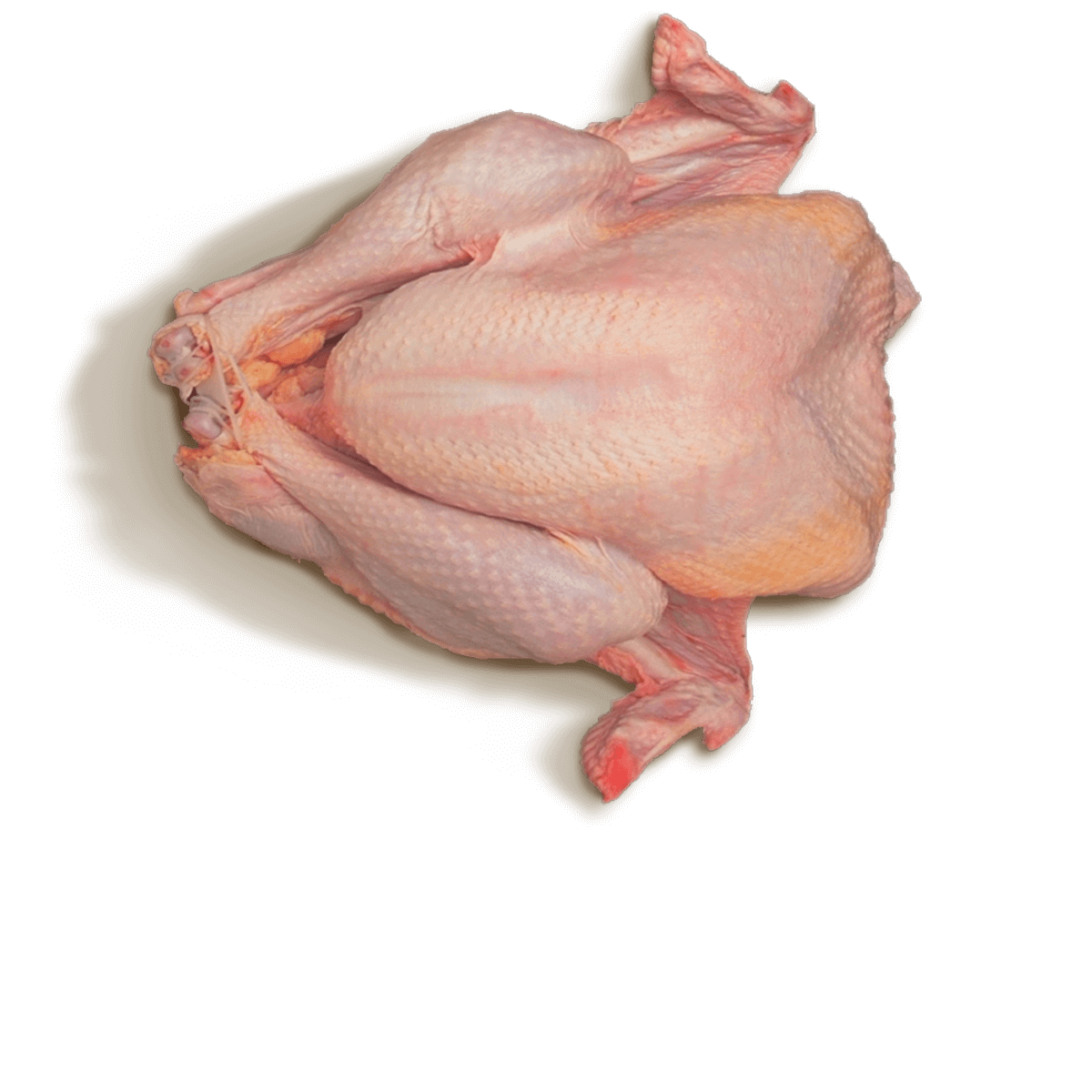 Thanksgiving Turkey Meat Transparent Png (olive, black)