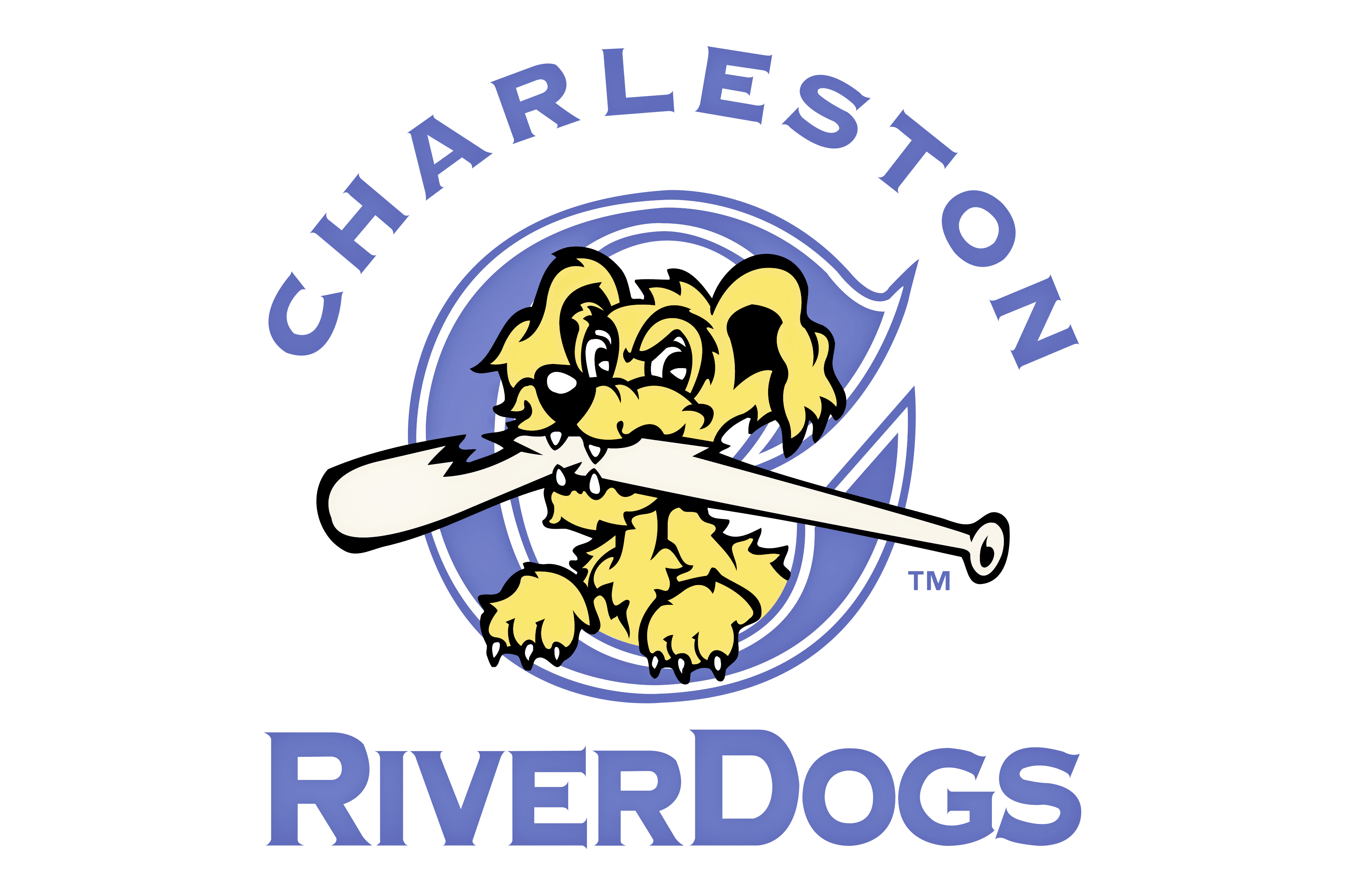 Charleston Riverdogs Png File (gray)