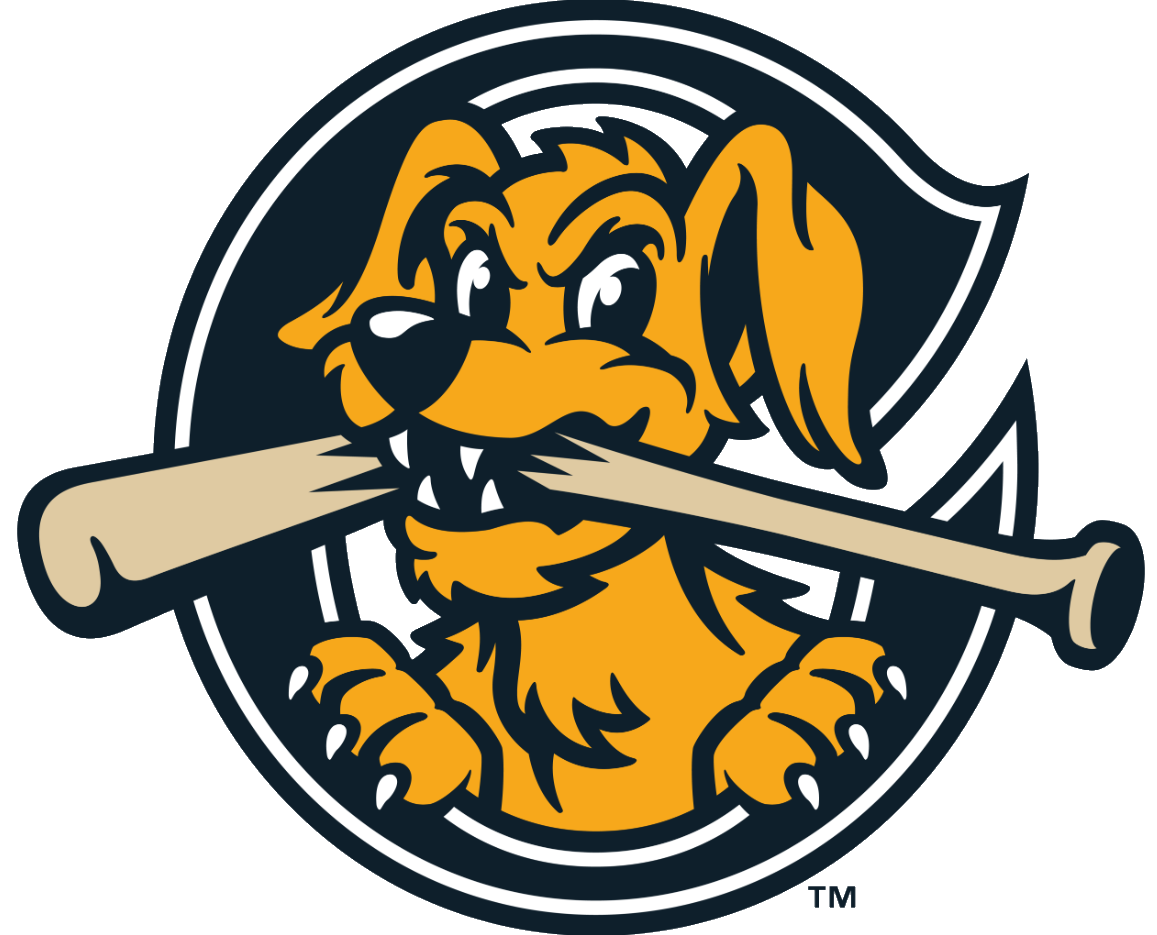 Charleston Riverdogs Png Hd (white, orange, black, silver)