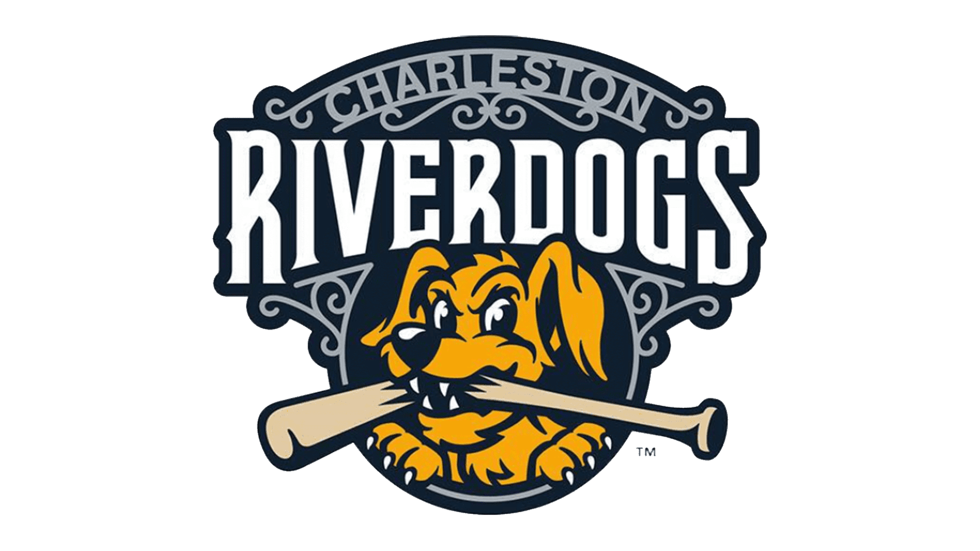 Charleston Riverdogs Png Pic (white, gray)