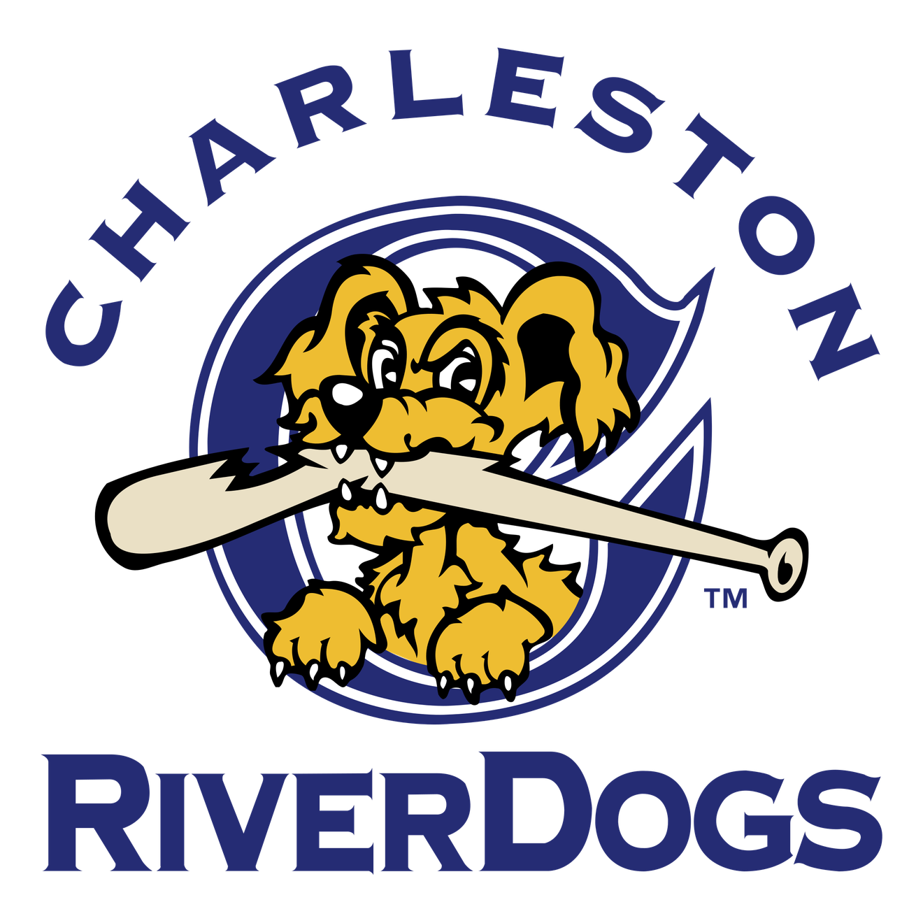 Charleston Riverdogs Png (indigo, orange, black, navy, beige)