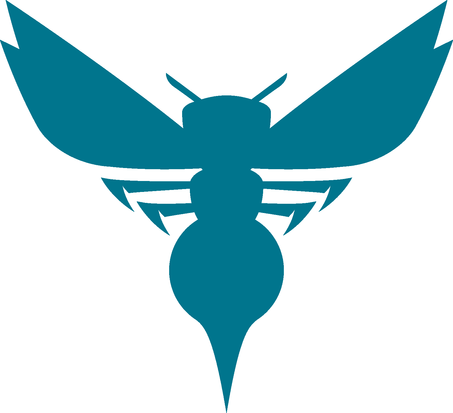 Charlotte Hornets Png Picture (white, teal)