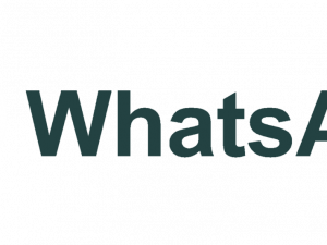 Whatsapp Free Download Png 300X225 (black, teal)