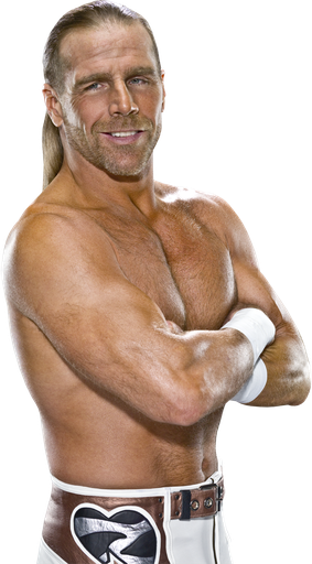 Shawn Michaels Download Png Image (black, salmon, white, gray)