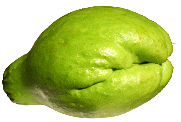 Chayote Png Transparent Image (black, olive, green)