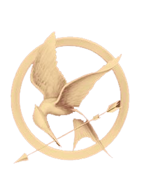 The Hunger Games Png Photo (gray, pink, salmon, white, silver)