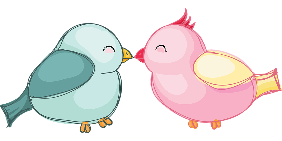 The Lovebirds Png File (beige, black, pink, silver, mint)