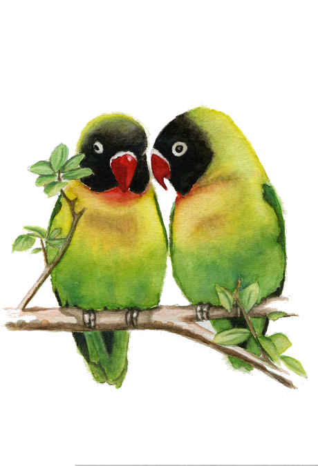 The Lovebirds Png Hd Isolated (indigo, black)