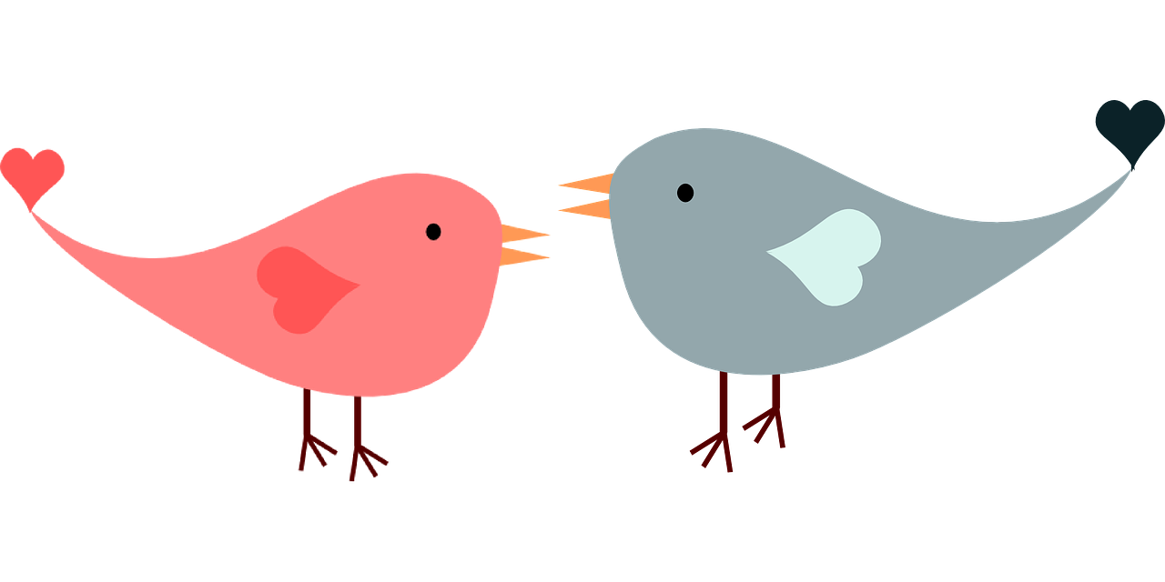 The Lovebirds Png Isolated Hd (black, silver, salmon)