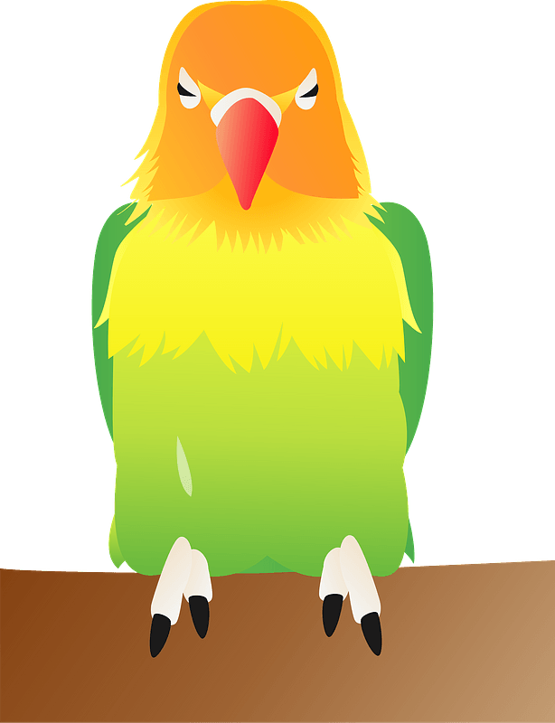 The Lovebirds Png Isolated Image (yellow, olive, gray)