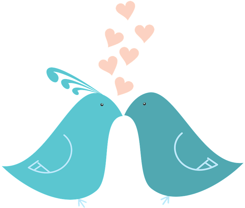 The Lovebirds Png Isolated Photo (gray, silver, pink)