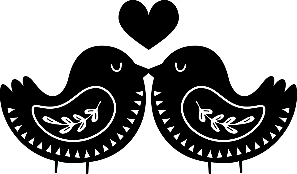 The Lovebirds Png Picture (black)