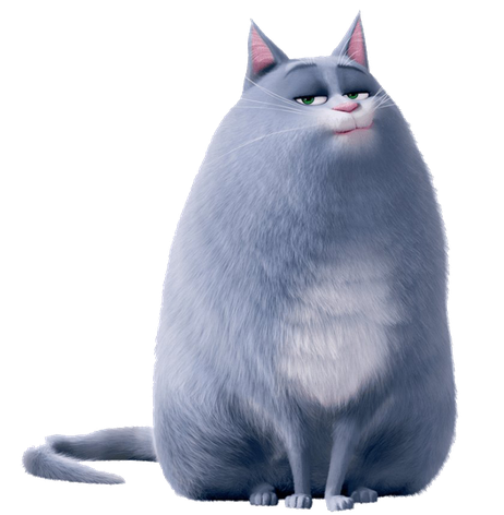 The Secret Life Of Pets Chloe Png Image (black, gray, silver)