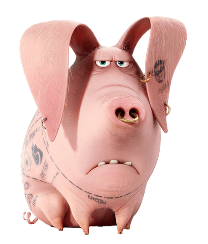 The Secret Life Of Pets Png Transparent Picture (black, pink)