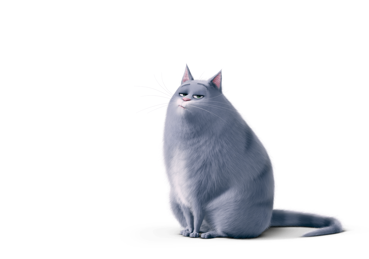 The Secret Life Of Pets Chloe Png File (black, gray)