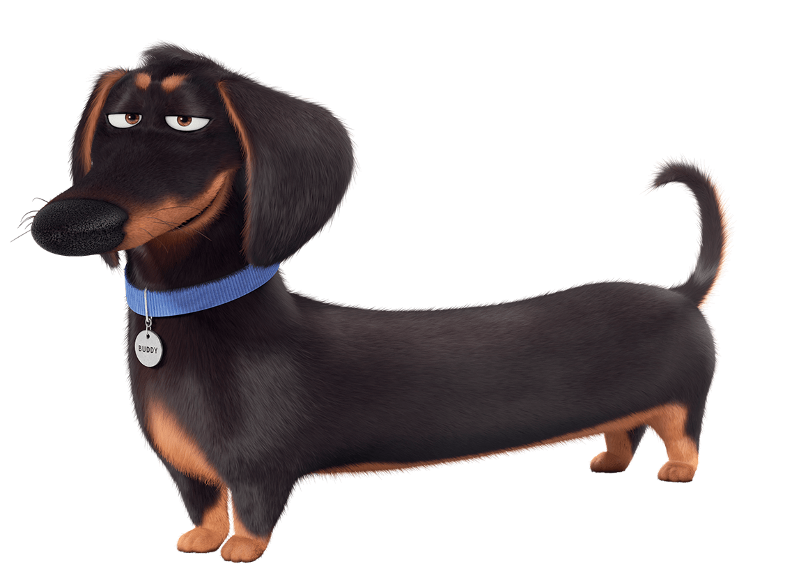 The Secret Life Of Pets Png Hd (black, gray)