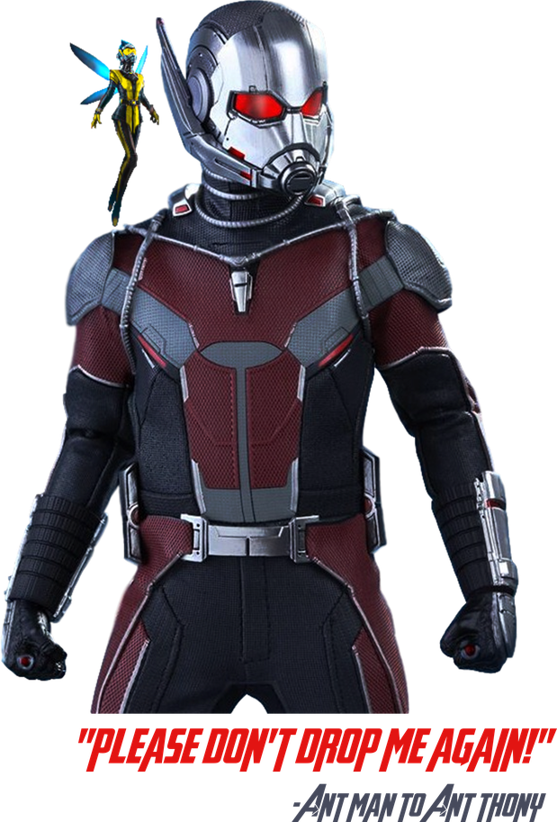 The Wasp Png Hd Isolated (black)